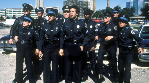 Полицейская академия 3: Повторное обучение